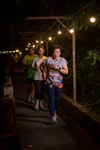 BIB: 50350
                            <button type="button" onclick="openModal(21807054)" class="btn btn-primary btn-sm float-right btn-popup" data-toggle="modal" data-target=".modal-high-quality">
                        <i class="fas fa-shopping-cart"></i> Add to Cart
                    </button>
                                            <button type="button" onclick="isThisMe(21807054, true)" class="btn btn-success btn-sm float-right btn-popup btn-isme hidden" data-toggle="tooltip" data-placement="bottom" title="นี่คือรูปของคุณใช่ไหม คลิกที่นี่เพื่อเอาเข้าอัลบั้ม">
                        <i class="fas fa-plus"></i> Add to album
                    </button>
                    <button type="button" onclick="isThisMe(21807054, false)" class="btn btn-warning btn-sm float-right btn-popup btn-isnotme hidden">
                        <i class="fas fa-ban"></i> Remove from album
                    </button>